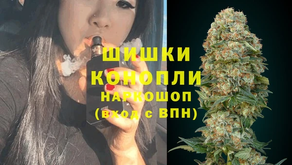тгк Верея